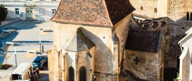 WhatsApp Image 2025-11-16 at 16.48.00